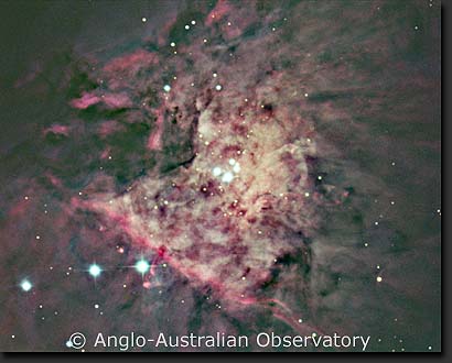 Trapezium stars in Orion Nebula, M42, NGC 1976 trapezium.jpg, ngc1976.jpg