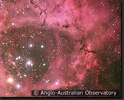 The Rosette Nebula and NGC 2244 cluster, rosette.jpg, ngc2244.jpg