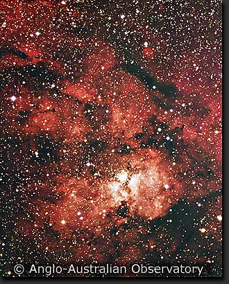 The reddened nebulosity in NGC 3603, ngc3603.jpg