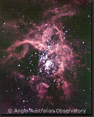 The Tarantula Nebula, NGC 2070, around the 30 Dor cluster in the LMC, 30dor.jpg, tarantula.jpg