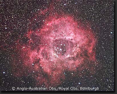 The Rosette Nebula and NGC 2244 cluster