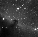 Horsehead Nebula