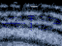 The Orion Arm