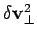 $ \delta\bfv_\perp^2$